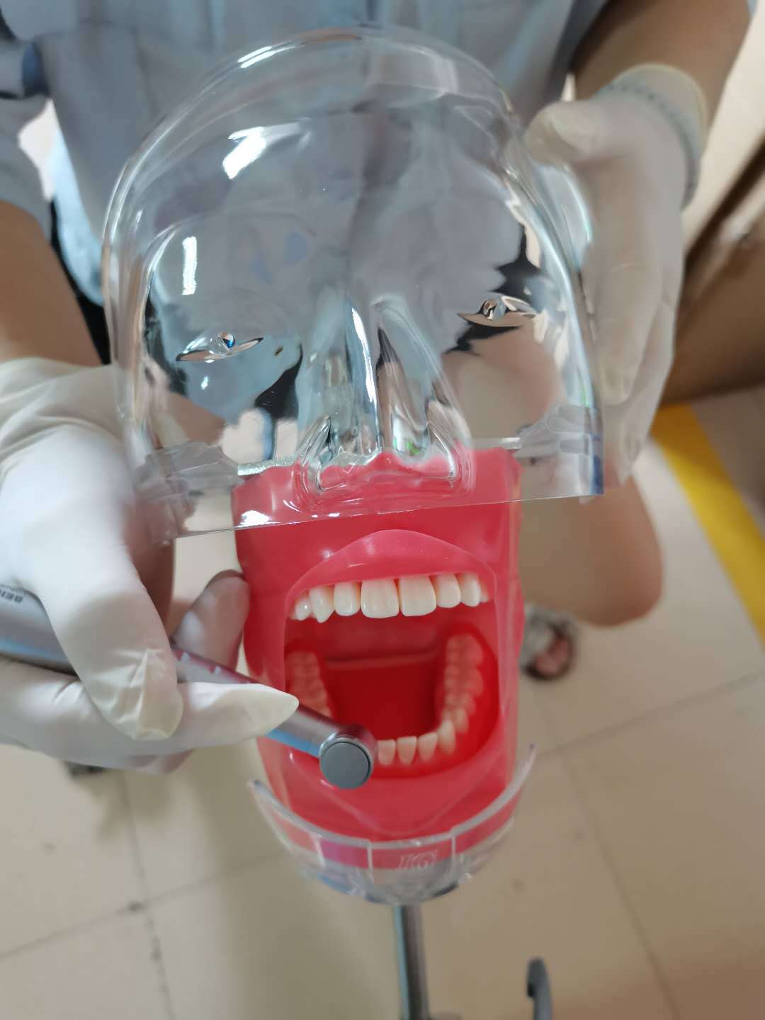 Mastering Dental Excellence: A Day in the Life of Students Using Advanced Simulation Systems and Trainning Models